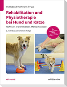 Rehabilitation und Physiotherapie bei Hund und Katze