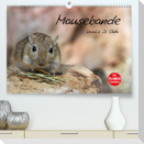 Mausebande (Premium, hochwertiger DIN A2 Wandkalender 2023, Kunstdruck in Hochglanz)