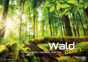 GP-Fever. de (Hrsg.). Wald - Erholung für Mensch und Tier - 2027 - Kalender DIN A2 - Der Wandkalender mit den schönsten Motiven unserer Wälder für das Jahr 2027 im extragroßen Format DIN A2 (ca. 60 x 42 cm)!. GP-Fever.de, 2026.
