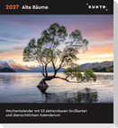 Alte Bäume - KUNTH Postkartenkalender 2027