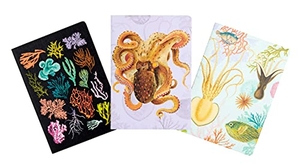 Insights. Art of Nature: Under the Sea Sewn Notebook Collection (Set of 3) - (Cute Stationery Gift, Gift for Girls, Notebooks). Insights, 2021.