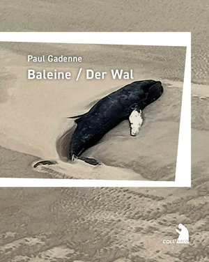 Gadenne, Paul. Baleine / Der Wal. Arco Verlag GmbH, 2026.