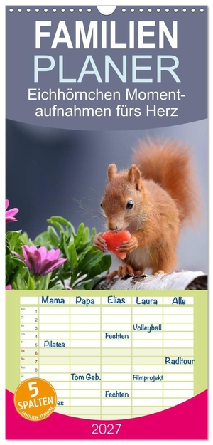 Meier, Tine. Familienplaner 2027 - Eichhörnchen Momentaufnahmen fürs Herz mit 5 Spalten (Wandkalender, 21 x 45 cm) CALVENDO - Wunderschöne Großaufnahmen entsprechend der jeweiligen Jahreszeit. Calvendo, 2026.