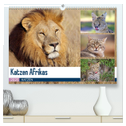 Katzen Afrikas (hochwertiger Premium Wandkalender 2025 DIN A2 quer), Kunstdruck in Hochglanz