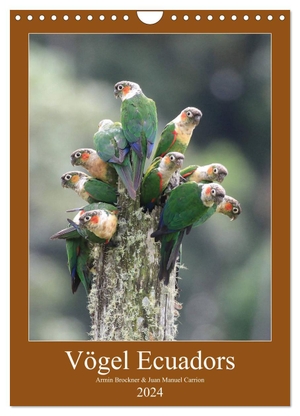 Brockner, Armin. Vögel Ecuadors (Wandkalender 2024 DIN A4 hoch), CALVENDO Monatskalender - Die unterschiedlichen Vogelarten vermitteln Ihnen einen Eindruck welche Artenvielfalt im Andenstaat Ecuador heimisch ist.. Calvendo, 2023.