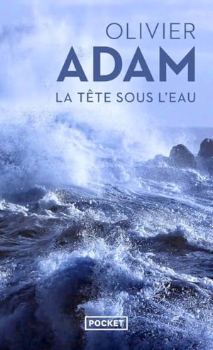 Adam, Olivier. La Tête sous l'eau - Roman. Pocket, 2020.