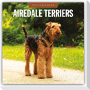 Airdale Terriers - Airdale Terrier 2027 - 16-Monatskalender