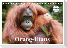 Orang-Utans (Tischkalender 2025 DIN A5 quer), CALVENDO Monatskalender