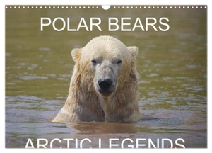 Cumming, Lister. POLAR BEARS - ARCTIC LEGENDS (Wall Calendar 2024 DIN A3 landscape), CALVENDO 12 Month Wall Calendar - 2 Male Polar Bears compete in a test of strength.. Calvendo, 2023.