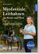Myofasziale Leitbahnen von Reiter und Pferd