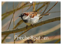 Freche Spatzen (Wandkalender 2024 DIN A3 quer), CALVENDO Monatskalender
