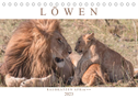 Löwen - Raubkatzen Afrikas (Tischkalender 2023 DIN A5 quer)