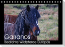 Garranos - Bedrohte Wildpferde Europas (Tischkalender 2023 DIN A5 quer)