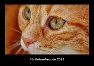 Tobias Becker. Für Katzenfreunde 2023 Fotokalender DIN A3 - Monatskalender mit Bild-Motiven von Haustieren, Bauernhof, wilden Tieren und Raubtieren. Vero Kalender, 2022.