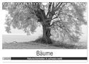 Bäume - Naturschönheiten in schwarz-weiß (Wandkalender 2025 DIN A4 quer), CALVENDO Monatskalender