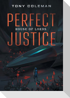 Perfect Justice