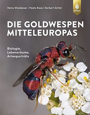 Wiesbauer, Heinz / Rosa, Paolo et al. Die Goldwespen Mitteleuropas - Biologie, Lebensräume, Artenportraits. Ulmer Eugen Verlag, 2020.