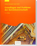Grundlagen und Probleme der Betriebswirtschaft