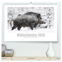 Wildschweine ¿ Wildlife Fotografien (hochwertiger Premium Wandkalender 2025 DIN A2 quer), Kunstdruck in Hochglanz