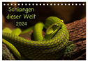 Schlangen dieser Welt (Tischkalender 2024 DIN A5 quer), CALVENDO Monatskalender