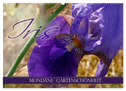 Iris - mondäne Gartenschönheit (Wandkalender 2024 DIN A2 quer), CALVENDO Monatskalender
