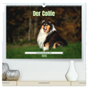 Der Collie der beste Hund der Welt (hochwertiger Premium Wandkalender 2025 DIN A2 quer), Kunstdruck in Hochglanz