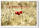 Pflanzenträume / Geburtstagskalender (Wandkalender 2024 DIN A4 quer), CALVENDO Monatskalender