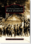 Little Cities of Black Diamonds