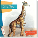 Giraffes
