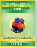 The Complete Guide to Rainbow Lorikeet Bird
