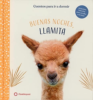 Duthie, Ellen / Wood, Amanda et al. Buenas noches, Llamita. Editorial Flamboyant, S.L., 2021.