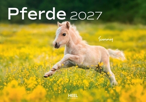 Trojaska-Koch, Edyta. Pferde Kalender 2027 Wandkalender - Der Tierkalender mit den charmanten Namen Pferde Fohlen Stuten Naturkalender. Edition Lempertz, 2026.