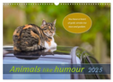 Animals like humour (Wall Calendar 2025 DIN A3 landscape), CALVENDO 12 Month Wall Calendar