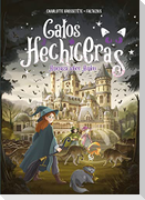Gatos Y Hechiceras - Vol II