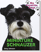 Miniature Schnauzer