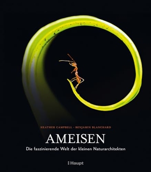 Campbell, Heather / Benjamin Blanchard. Ameisen - Die faszinierende Welt der kleinen Naturarchitekten. Haupt Verlag AG, 2024.