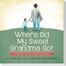 Where Did My Sweet Grandma Go?