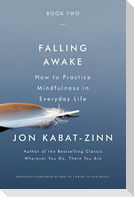 Falling Awake