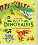 Big Book of Big Dinosaurs