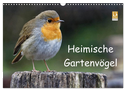 Heimische Gartenvögel (Wandkalender 2024 DIN A3 quer), CALVENDO Monatskalender