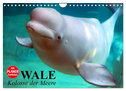 Wale. Kolosse der Meere (Wandkalender 2024 DIN A4 quer), CALVENDO Monatskalender