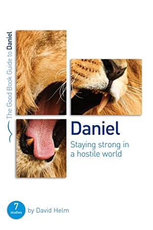 Helm, David. Daniel: Staying Strong in a Hostile World - 7 Studies for Individuals or Groups. Good Book Co, 2015.