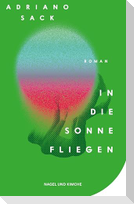 In die Sonne fliegen