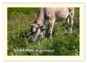 SÜDTIROL-Schnalstal (Wandkalender 2025 DIN A3 quer), CALVENDO Monatskalender