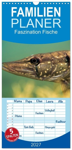 Pelz, Daniel. Familienplaner 2027 - Faszination Fische mit 5 Spalten (Wandkalender, 21 x 45 cm) CALVENDO - Erlebe die Vielfalt und Schönheit der europäischen Süßwasserfische mit diesem Kalender, der 12 beeindruckende Fotografien aus Flüssen und Seen präsentiert.. Calvendo, 2026.