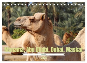 Graupner, Denise. Orient - Manama, Abu Dhabi, Dubai, Maskat (Tischkalender 2024 DIN A5 quer), CALVENDO Monatskalender - Impressionen aus dem Orient. Calvendo, 2023.
