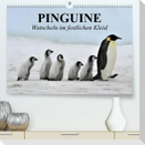 Pinguine - Watscheln im festlichen Kleid (Premium, hochwertiger DIN A2 Wandkalender 2023, Kunstdruck in Hochglanz)