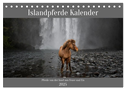 Islandpferde Kalender - Pferde von der Insel aus Feuer und Eis (Tischkalender 2025 DIN A5 quer), CALVENDO Monatskalender