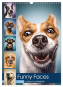 Funny Faces - Lustige Hundebilder (Wandkalender 2025 DIN A3 hoch), CALVENDO Monatskalender