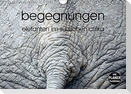 begegnungen - elefanten im südlichen afrika (Wandkalender immerwährend DIN A4 quer)